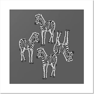 Zebra Posters and Art